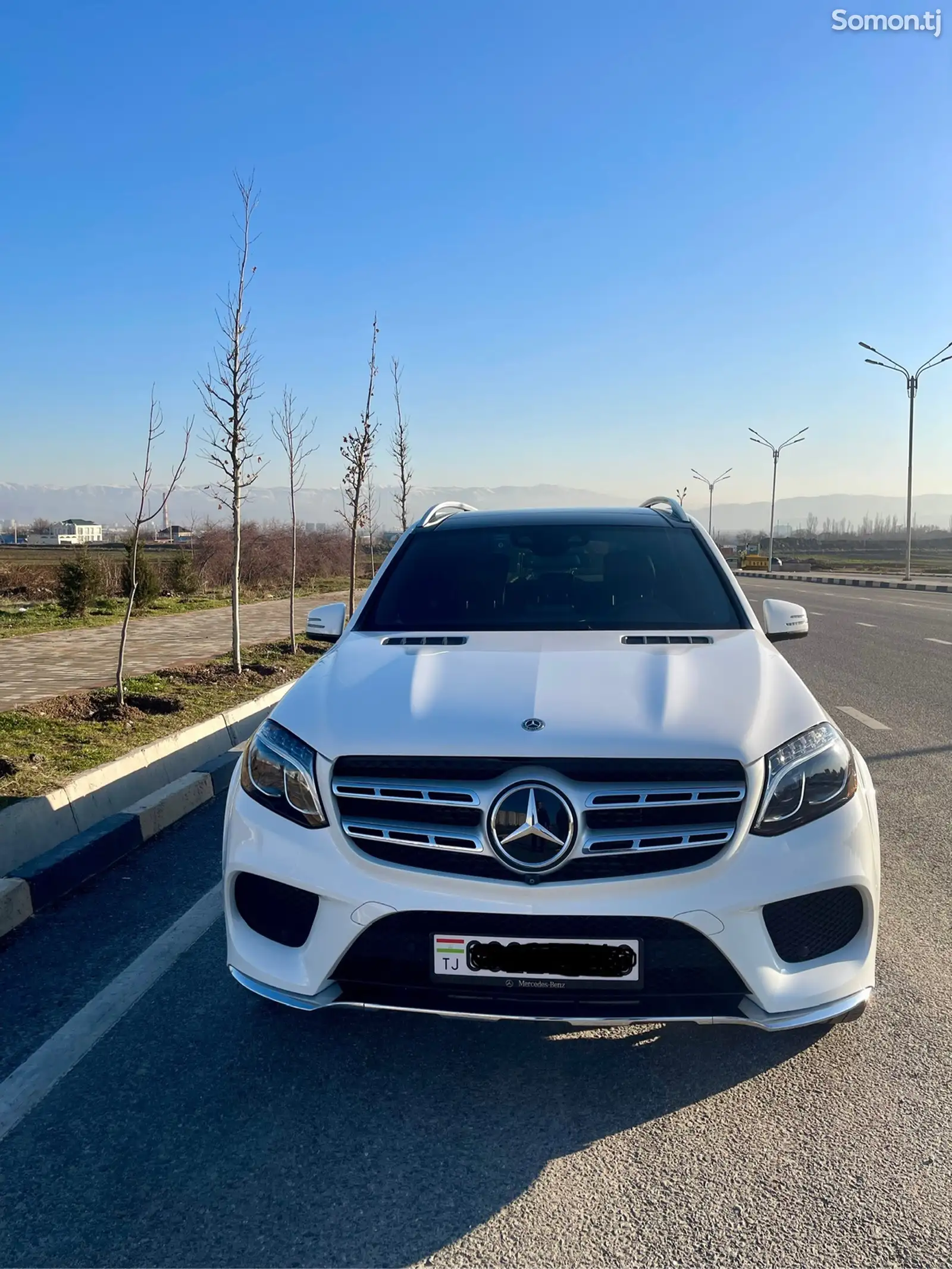 Mercedes-Benz GLS, 2018-1