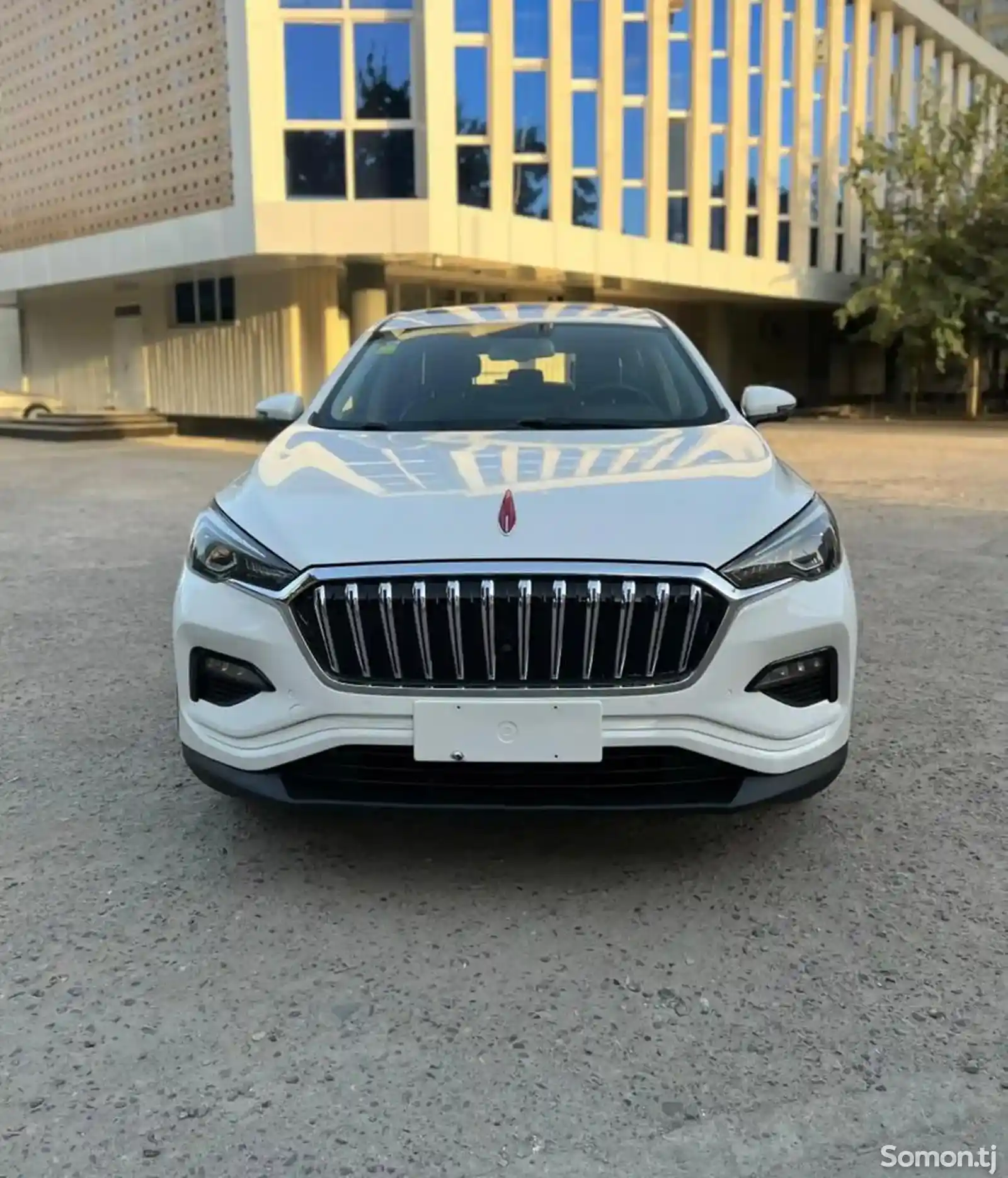 Hongqi E-HS9, 2019-1