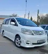 Toyota Alphard, 2008-3