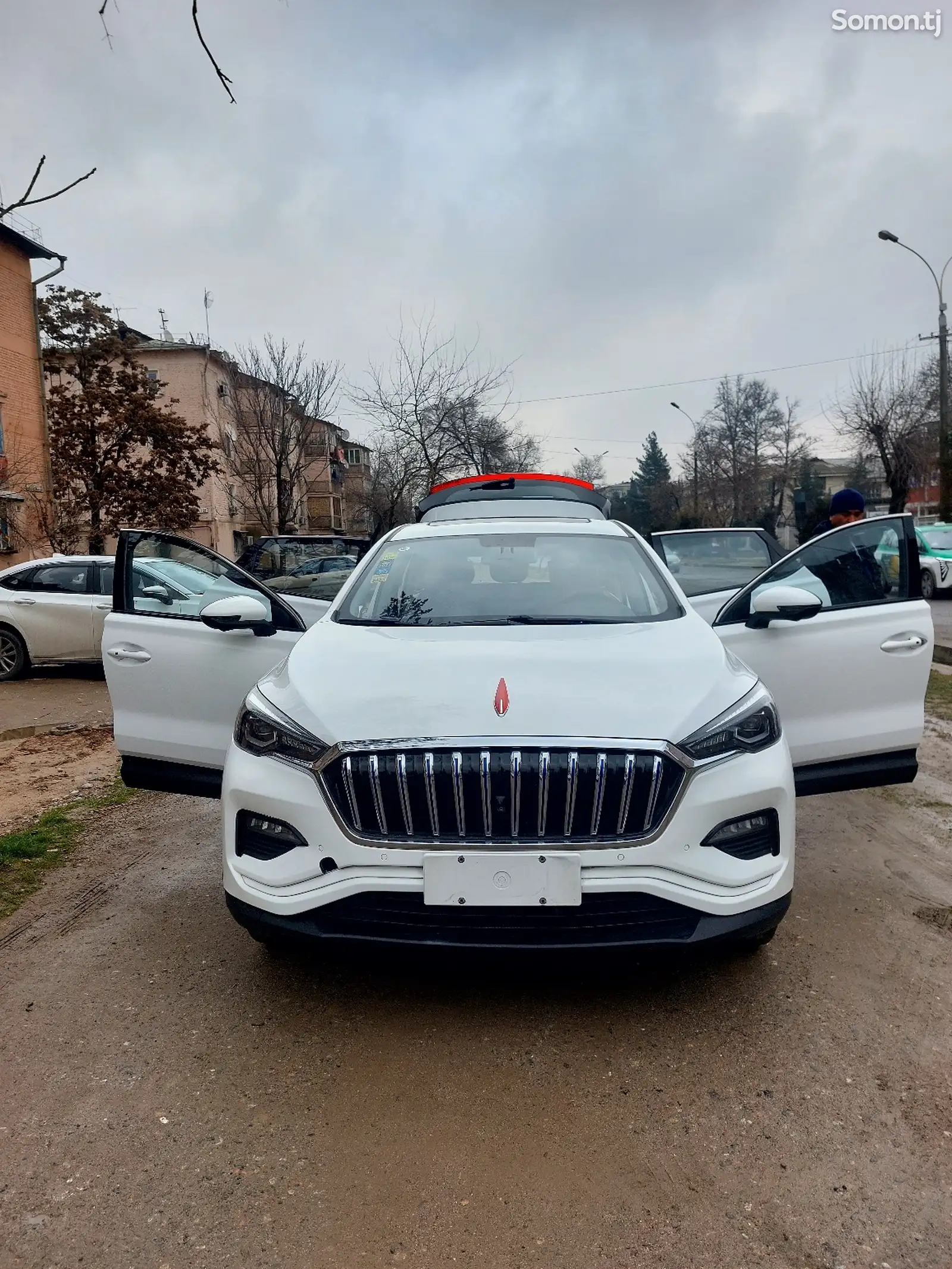 Hongqi E-HS3, 2019