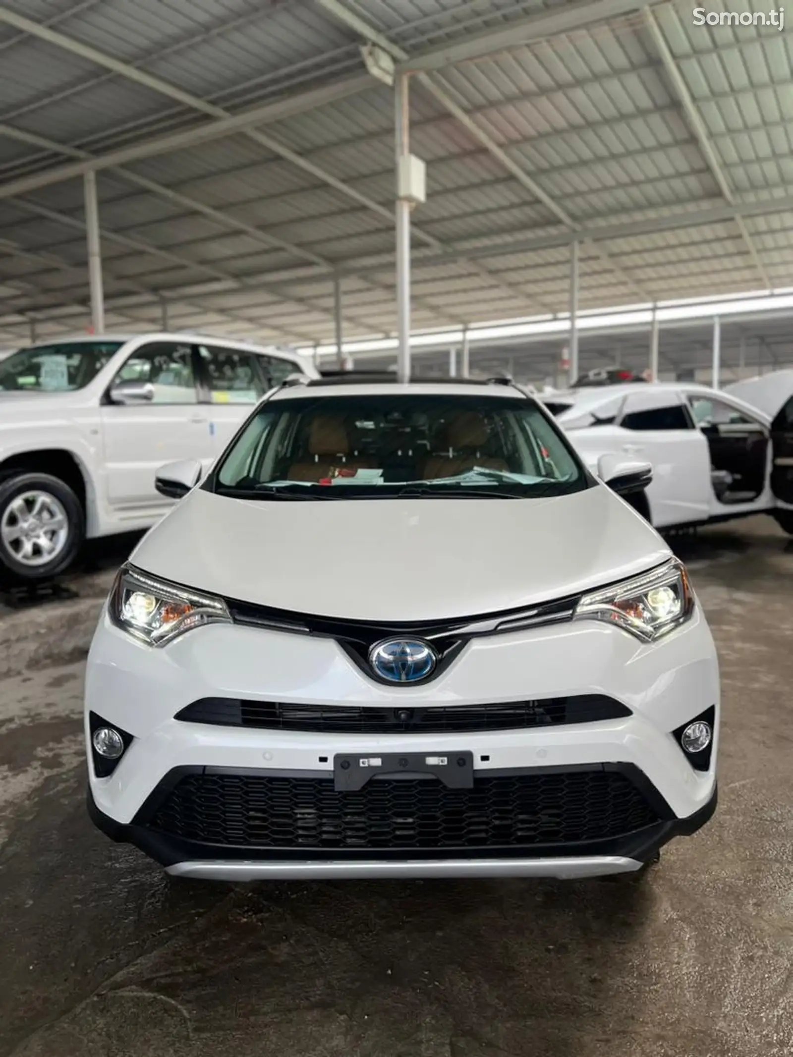 Toyota RAV 4, 2019-1