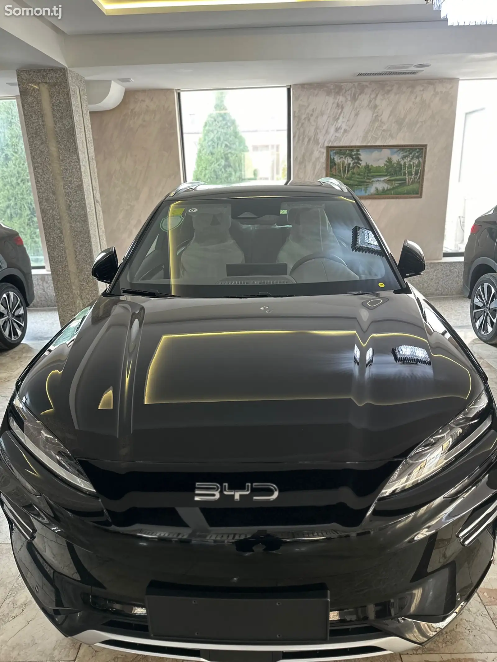 BYD Song Plus Flagship, 2024-1