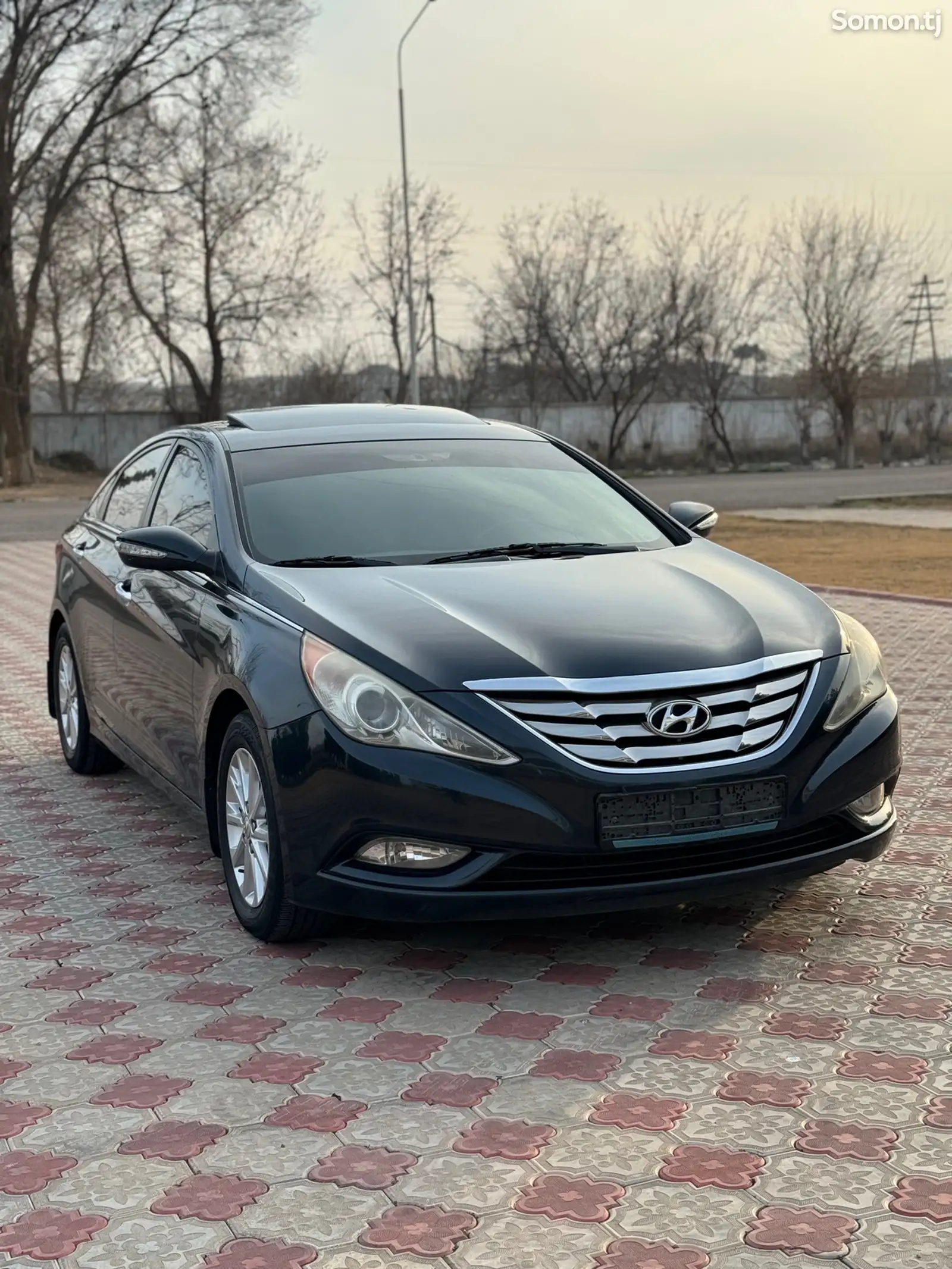 Hyundai Sonata, 2011-1