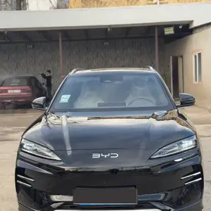 BYD Song Plus Flagship, 2024