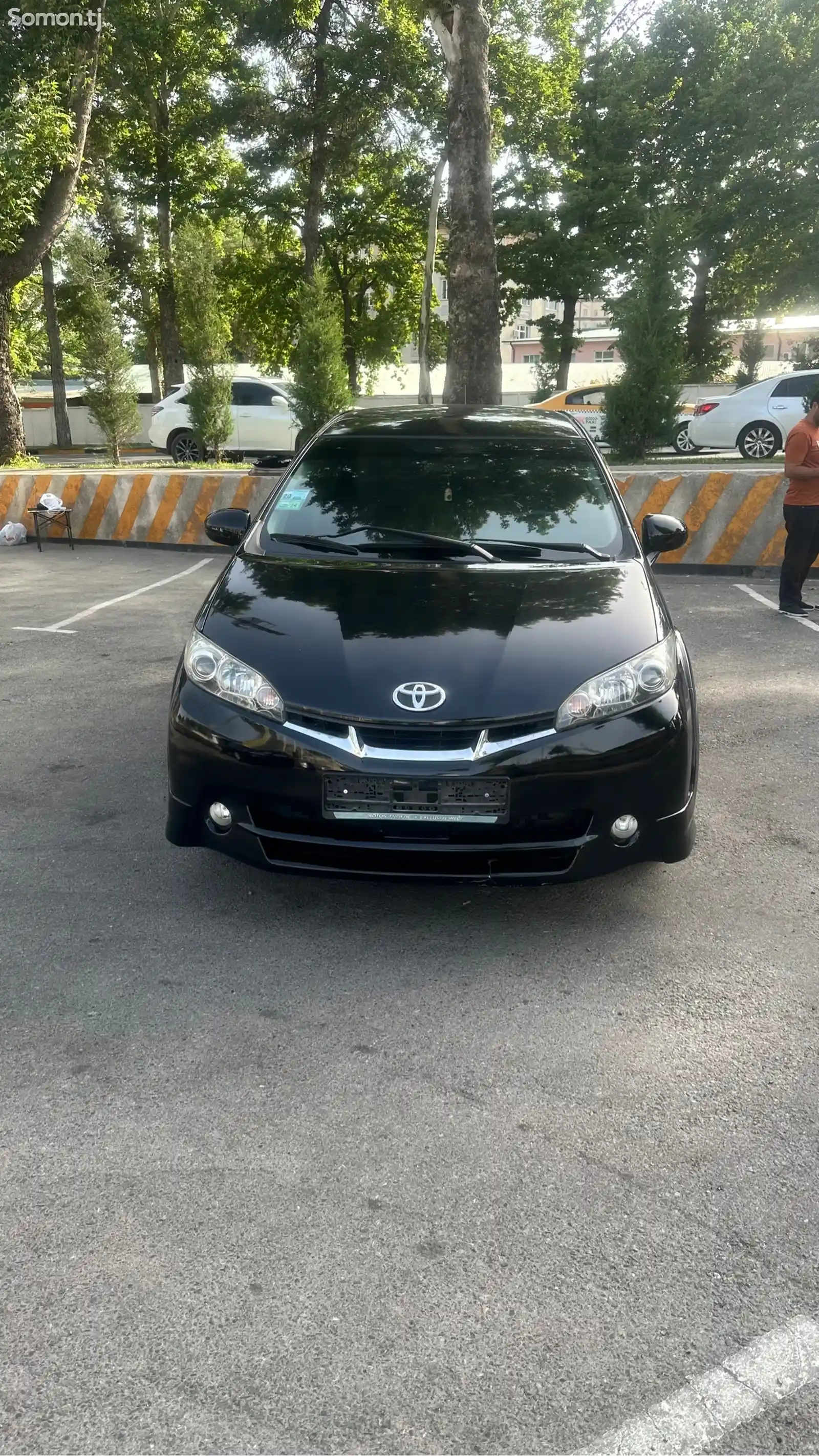 Toyota Wish, 2009-1