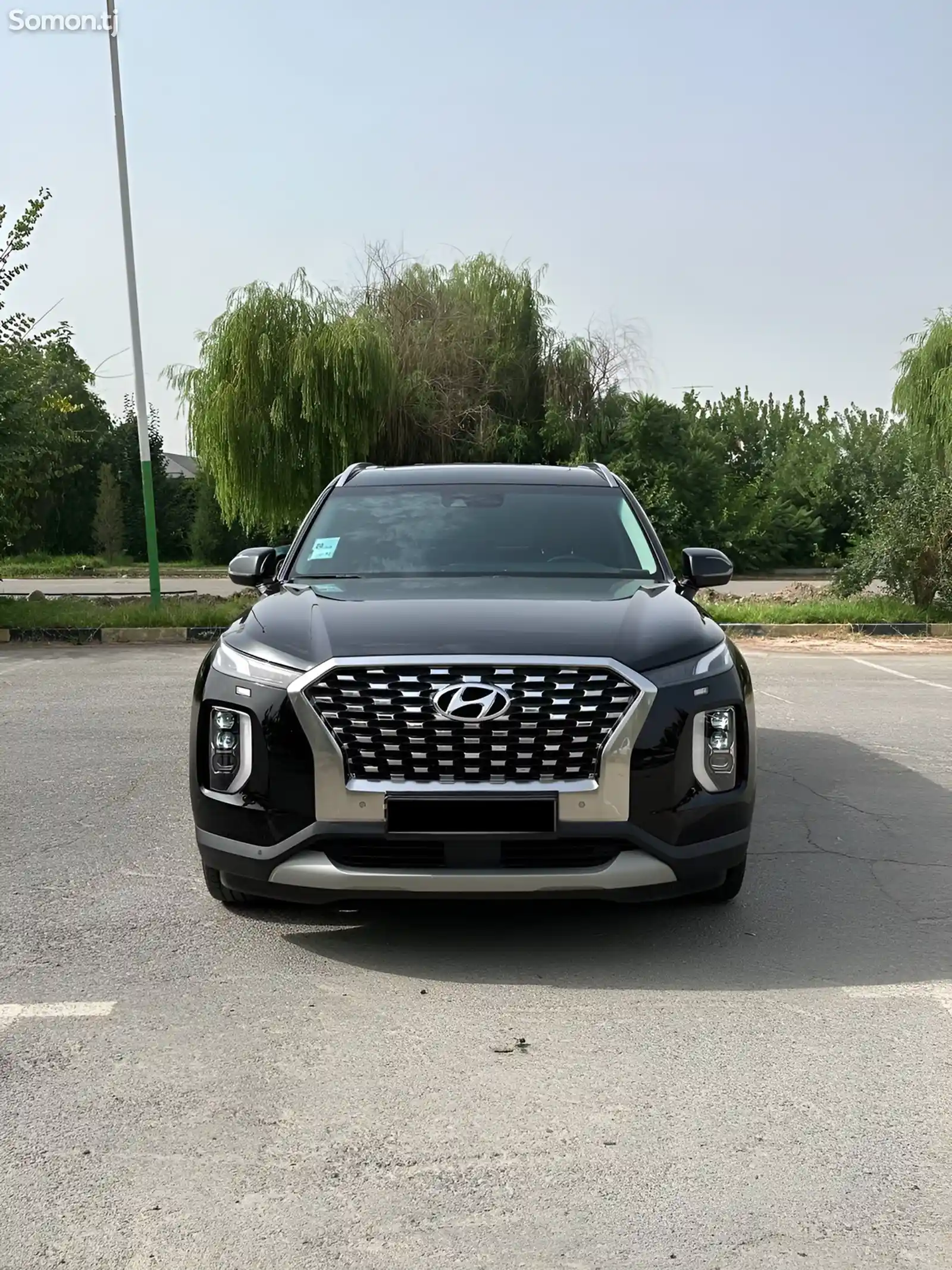 Hyundai Palisade, 2020-1