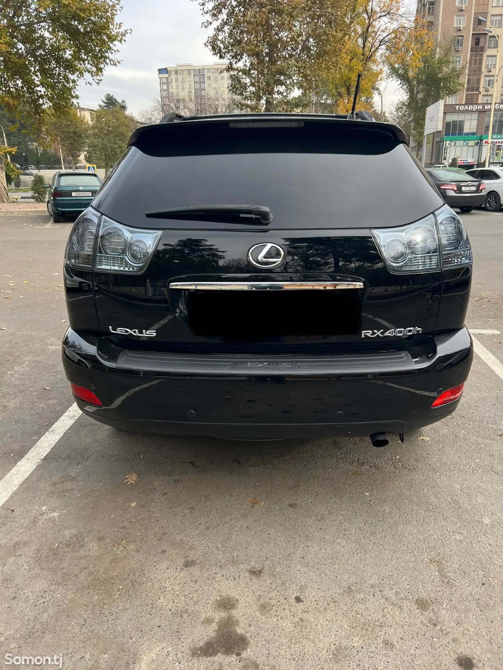 Lexus RX series, 2006-1