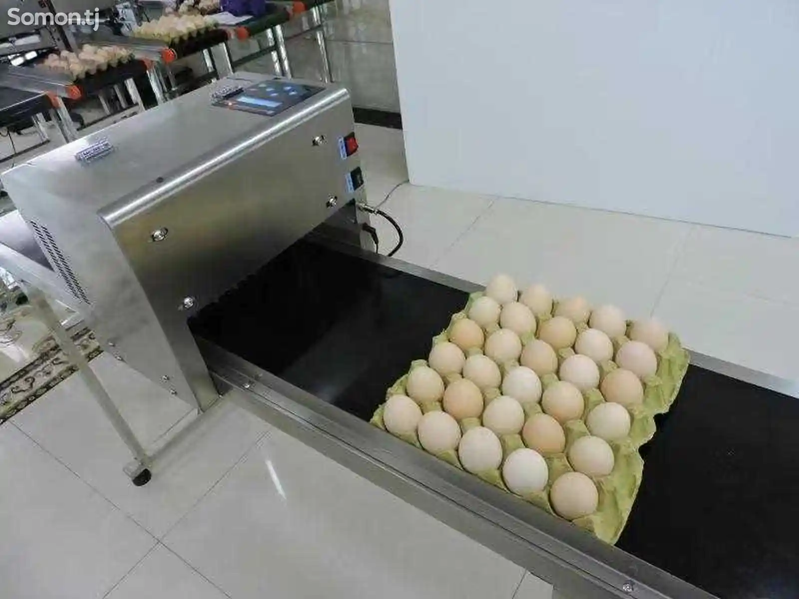 Принтер для яиц-2
