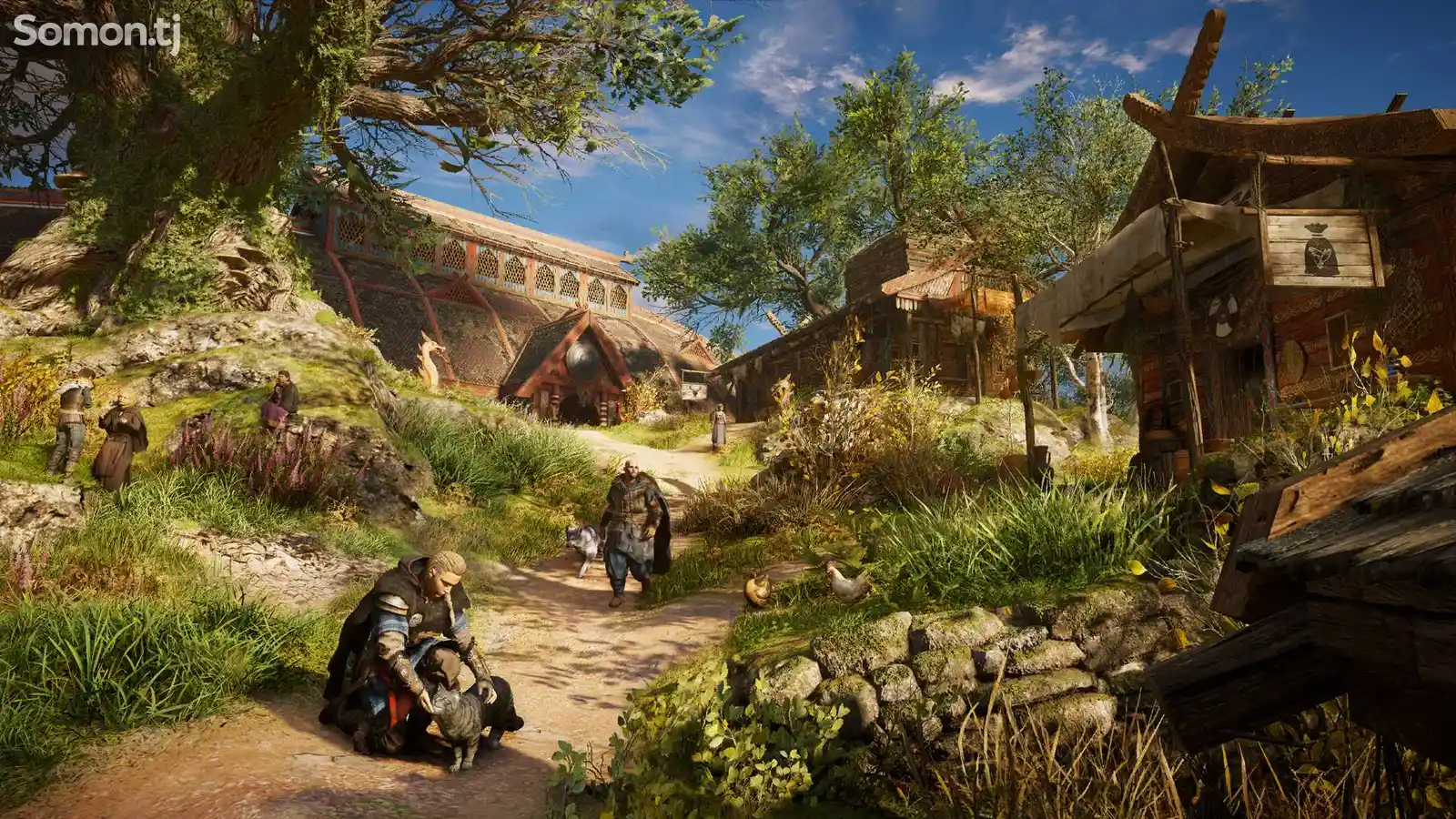 Игра Assassins Creed Valhalla New Update для PS4-3