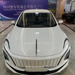 Hongqi E-QM5, 2024