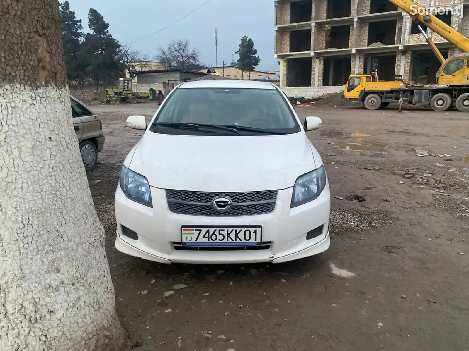 Toyota Fielder, 2008-1