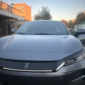 BYD Другие модели, 2024