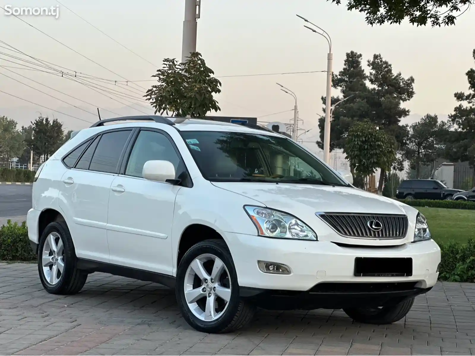 Lexus RX series, 2007-3