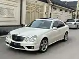 Mercedes-Benz E class, 2008-7