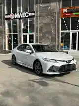 Toyota Camry, 2019-8