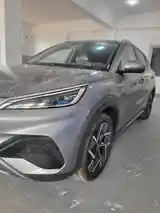 BYD Yuan Plus, 2024-2