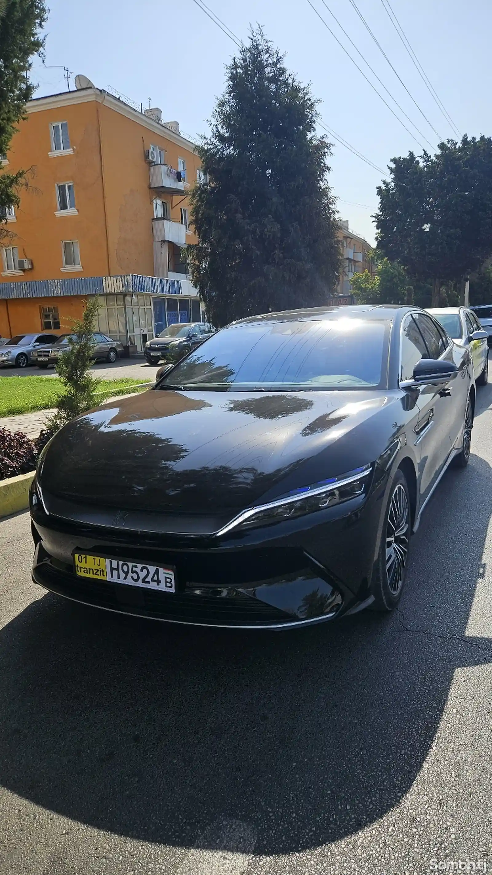 Авто в аренду только с водителем-15