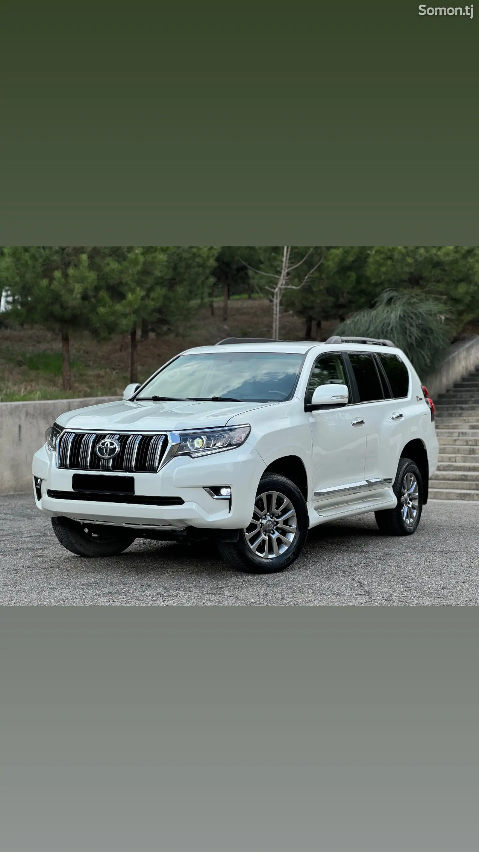 Toyota Land Cruiser Prado, 2010-1