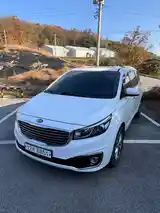 Kia Carnival, 2016-11