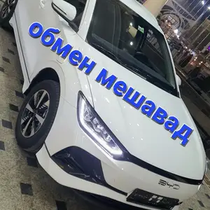 BYD E2, 2024