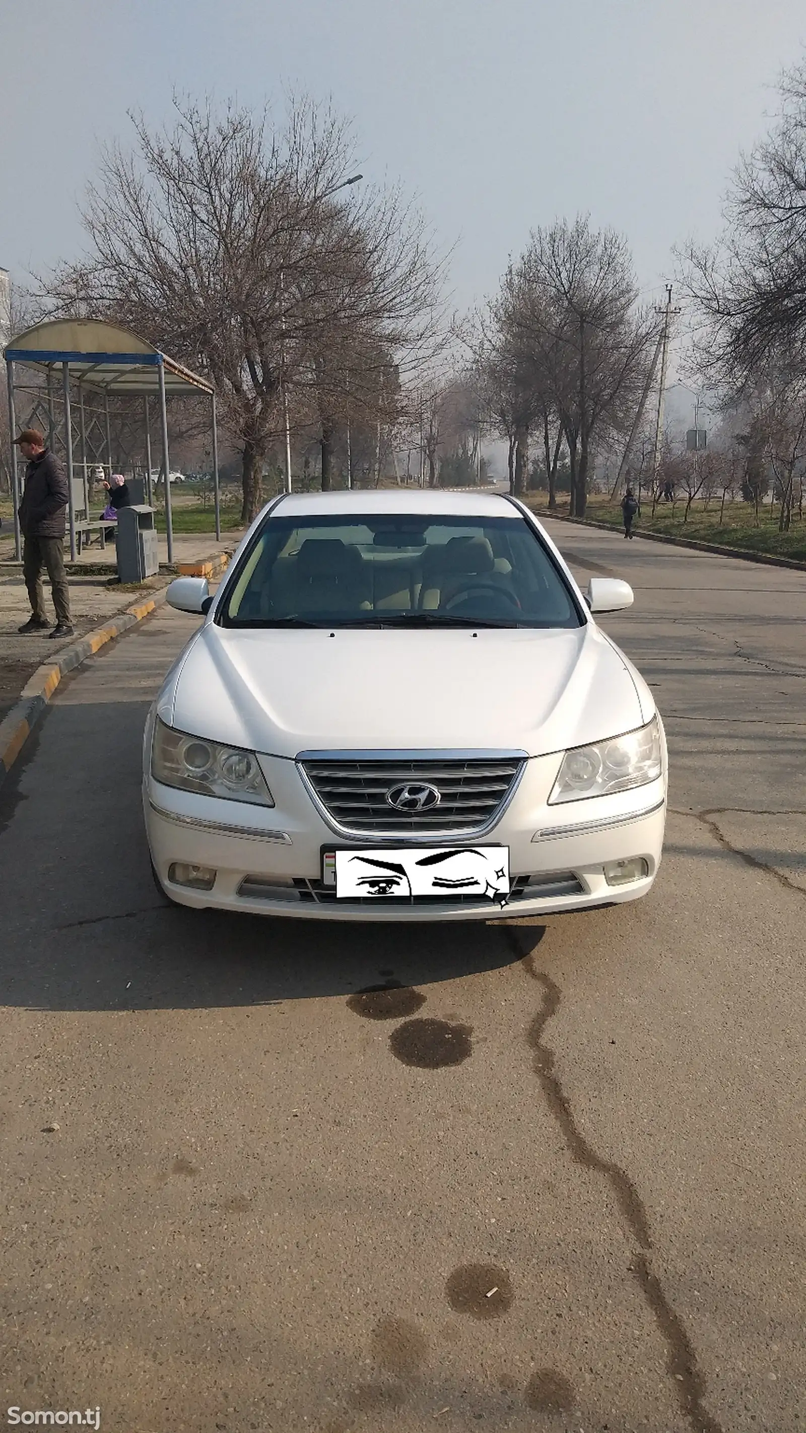 Hyundai Sonata, 2008-1