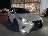 Lexus NX series, 2019-4