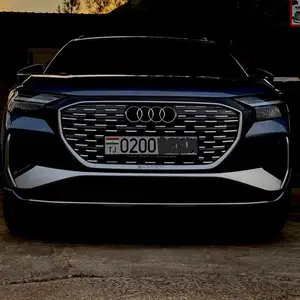 Audi Q4, 2024