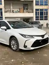 Toyota Corolla, 2023-3