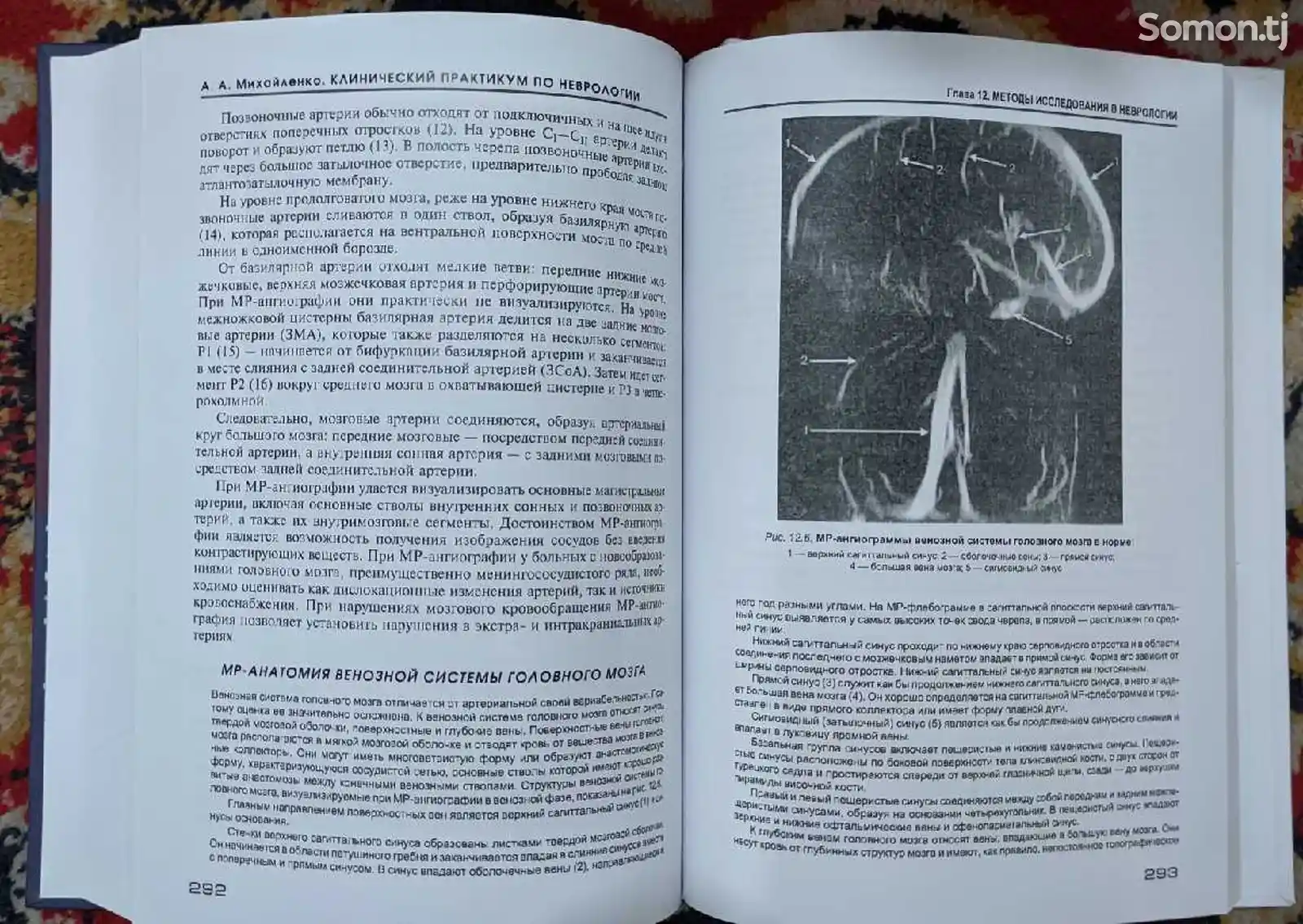Книга клиническая невралогия-7