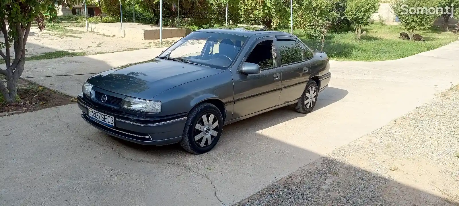 Opel Vectra A, 1995-1