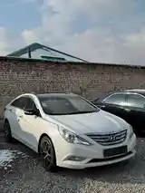 Hyundai Sonata, 2010-3