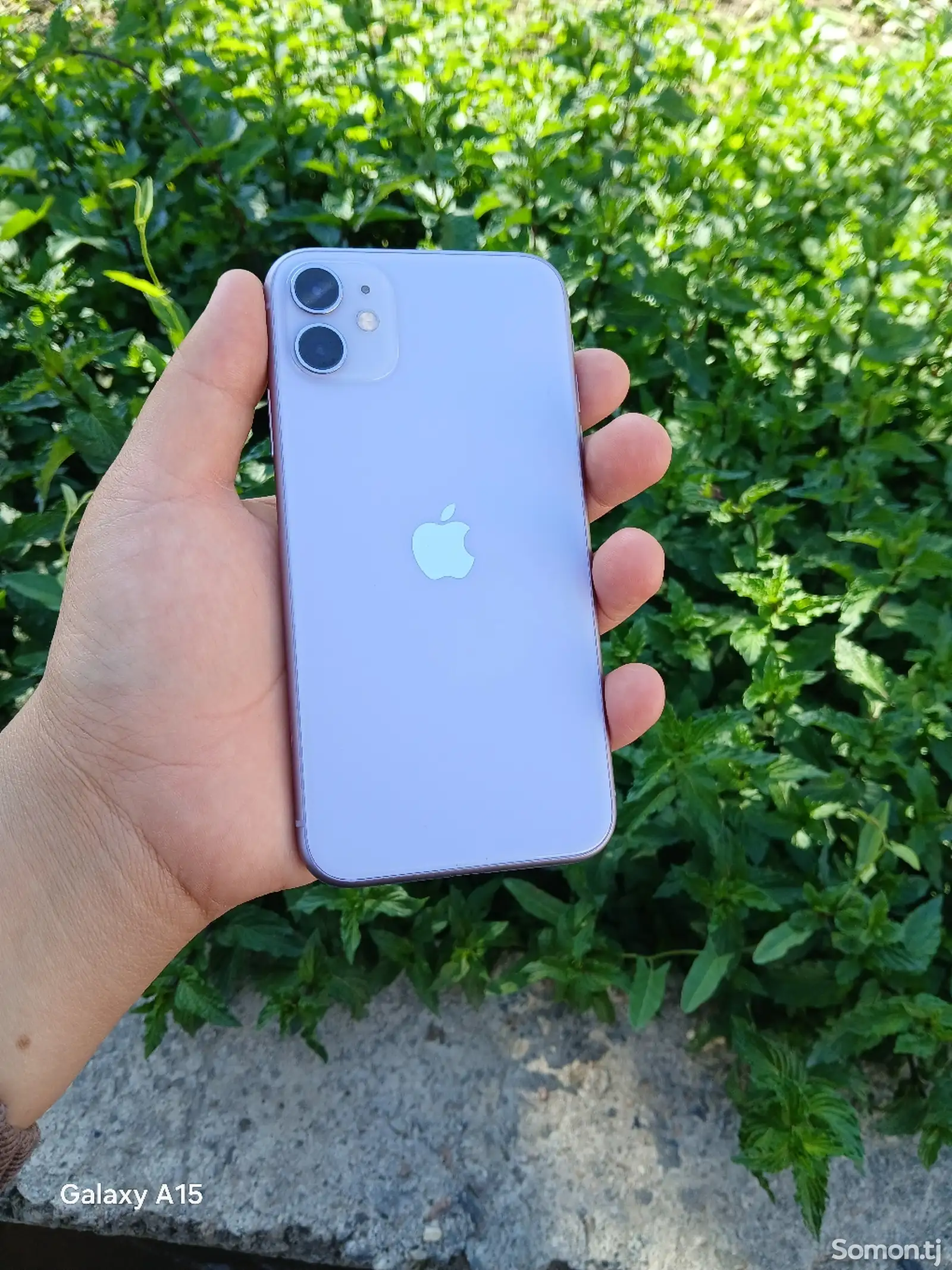 Apple iPhone 11, 128 gb, Purple-1