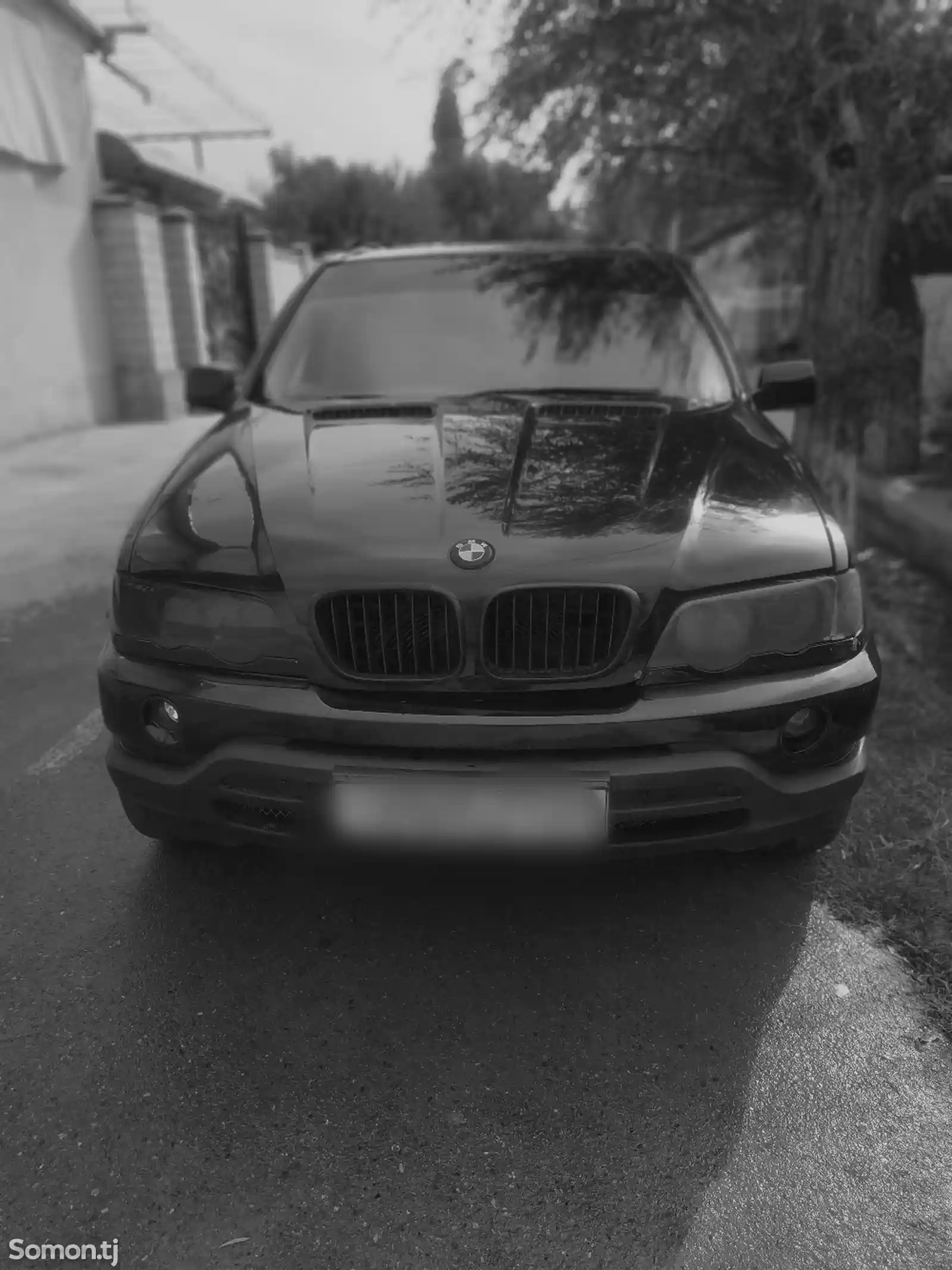 BMW X5 M, 2001-6