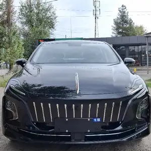 Hongqi E-QM5, 2024