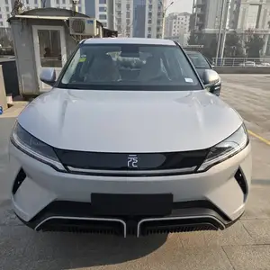 BYD Yuan Up, 2024