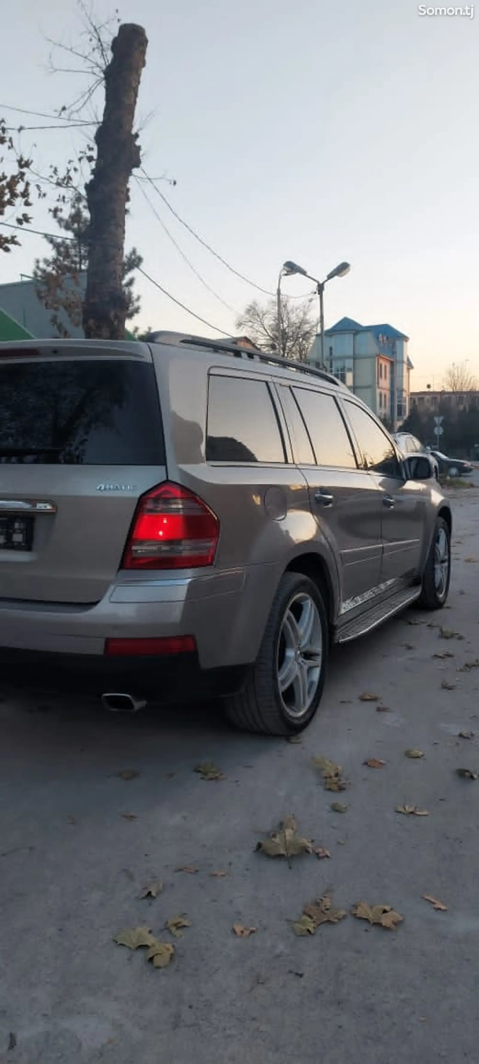 Mercedes-Benz GLE class, 2007-1