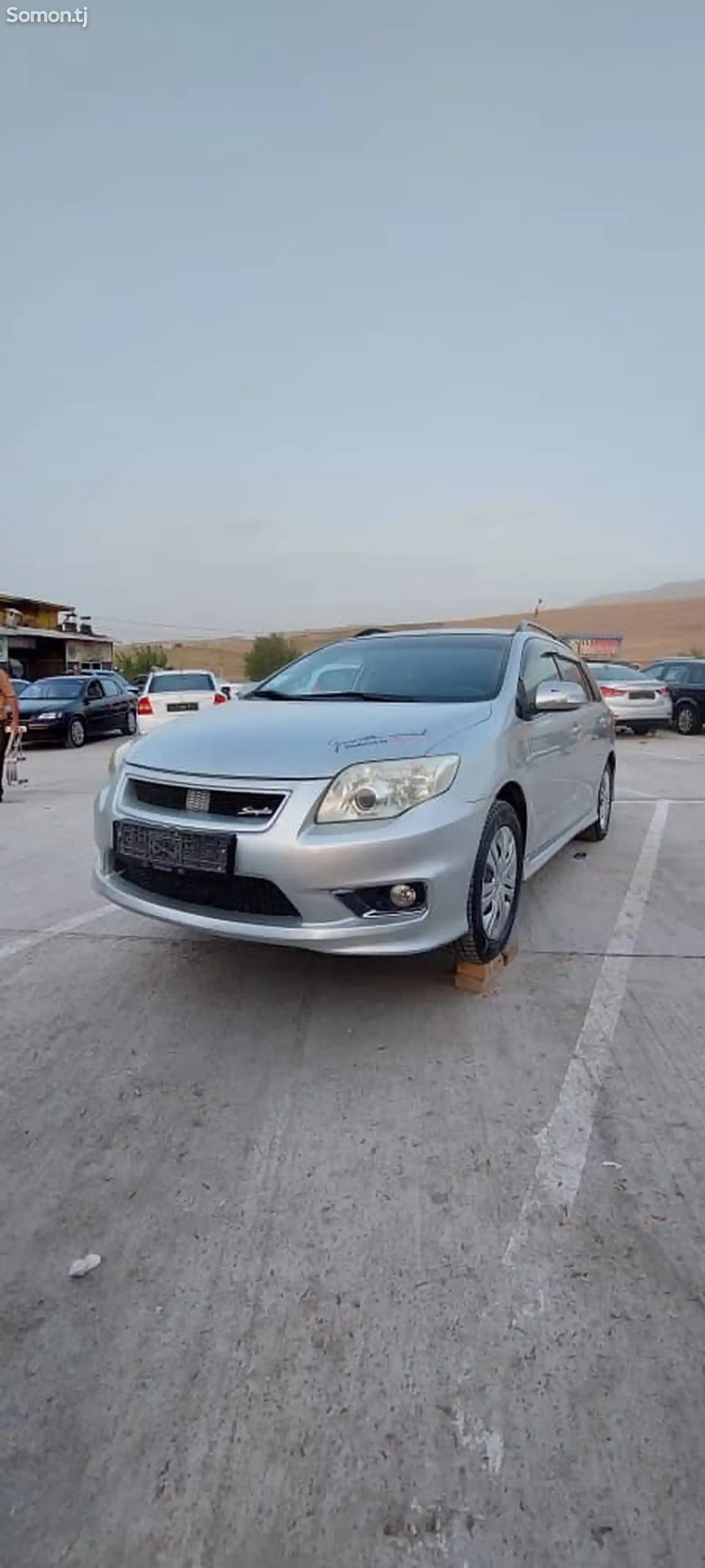 Toyota Fielder, 2008-9