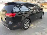 Kia Carnival, 2014-4