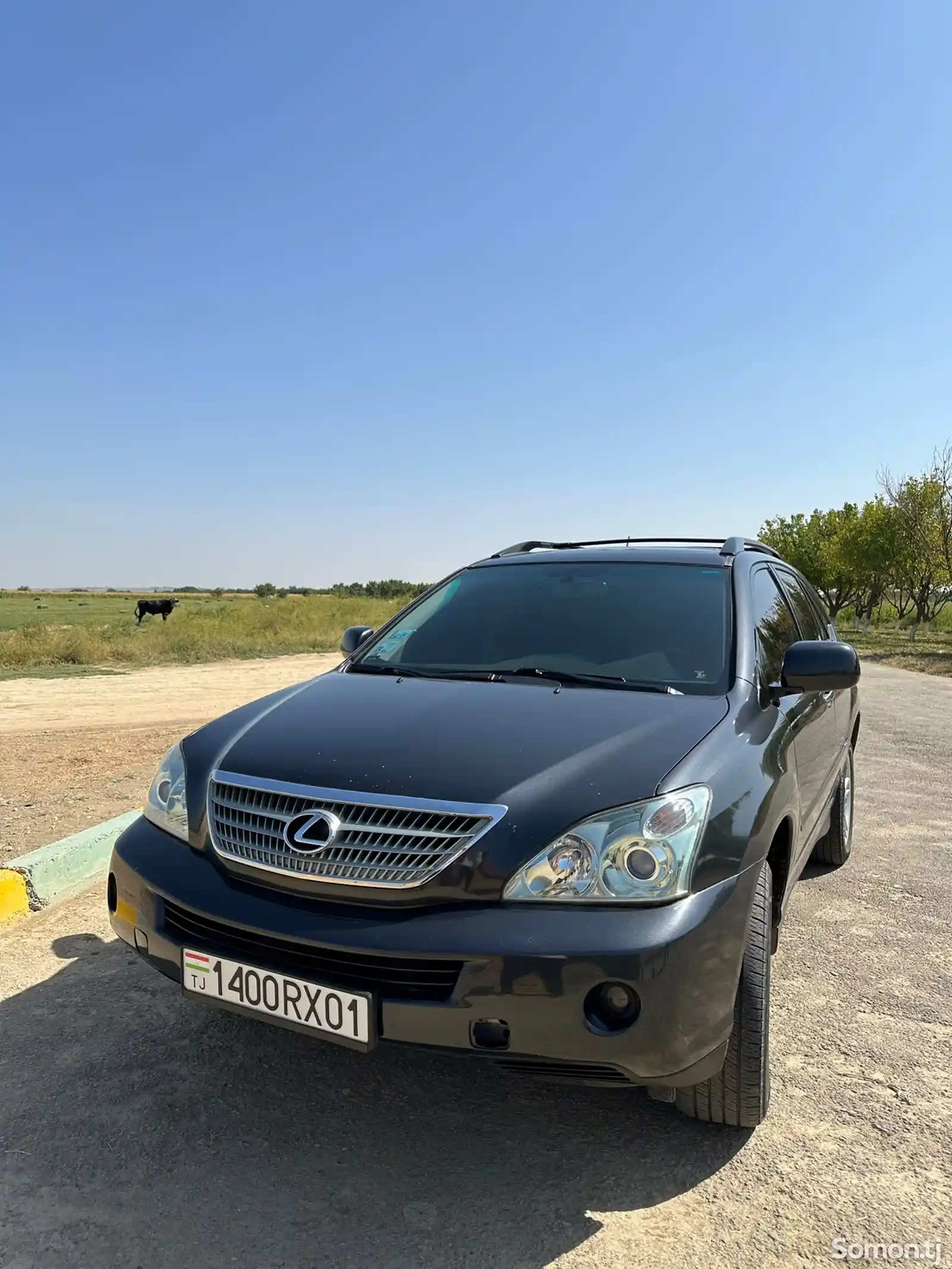 Lexus RX series, 2009-2