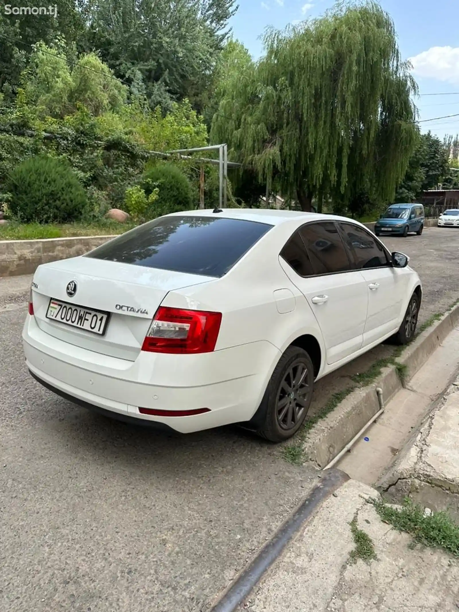 Skoda Octavia, 2019-3