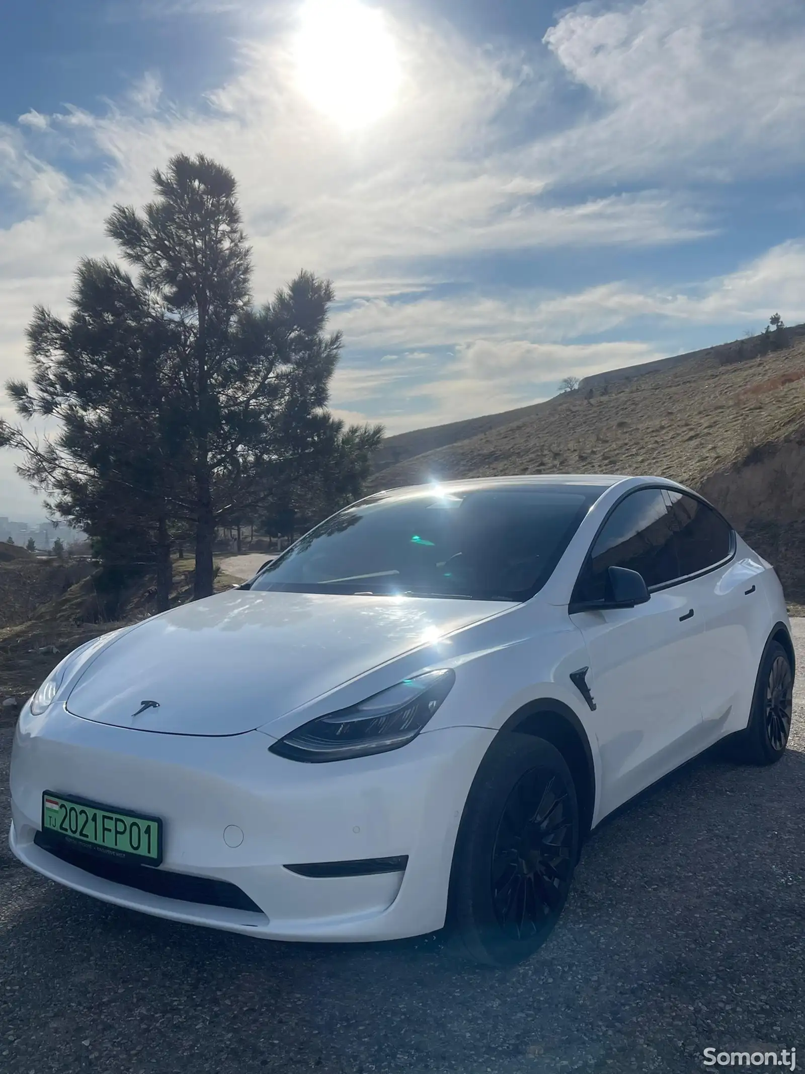 Tesla Model Y, 2021-1