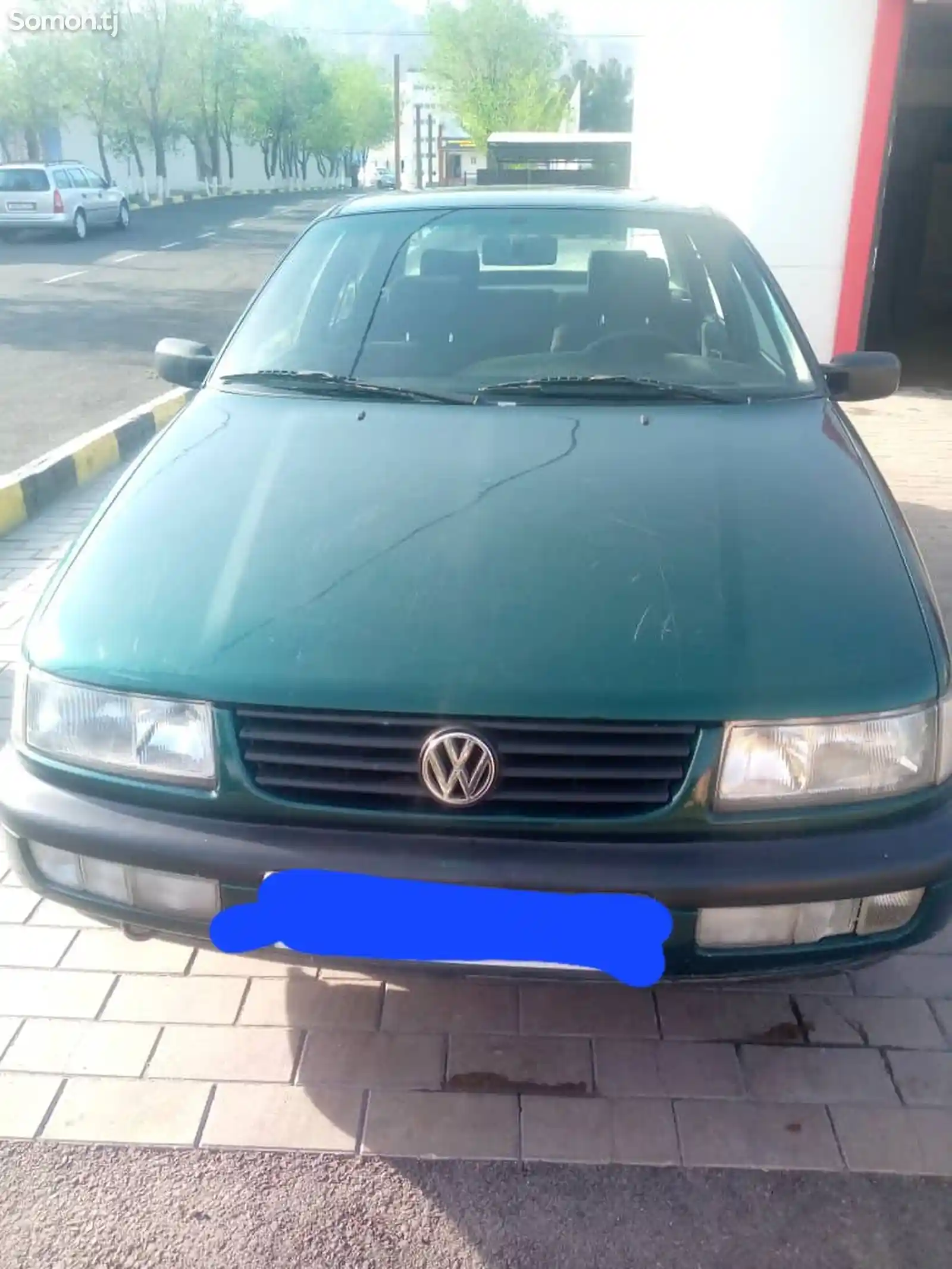 Volkswagen Passat, 1994-3