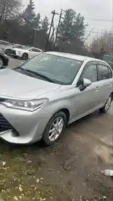 Toyota Axio, 2017-5