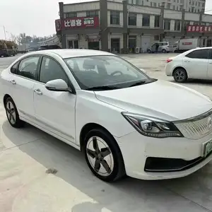 Dongfeng Landian E5, 2020