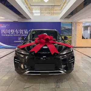 BYD Song Plus Flagship, 2024