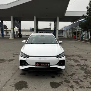 BYD E2, 2024