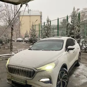 Hongqi E-HS3, 2019