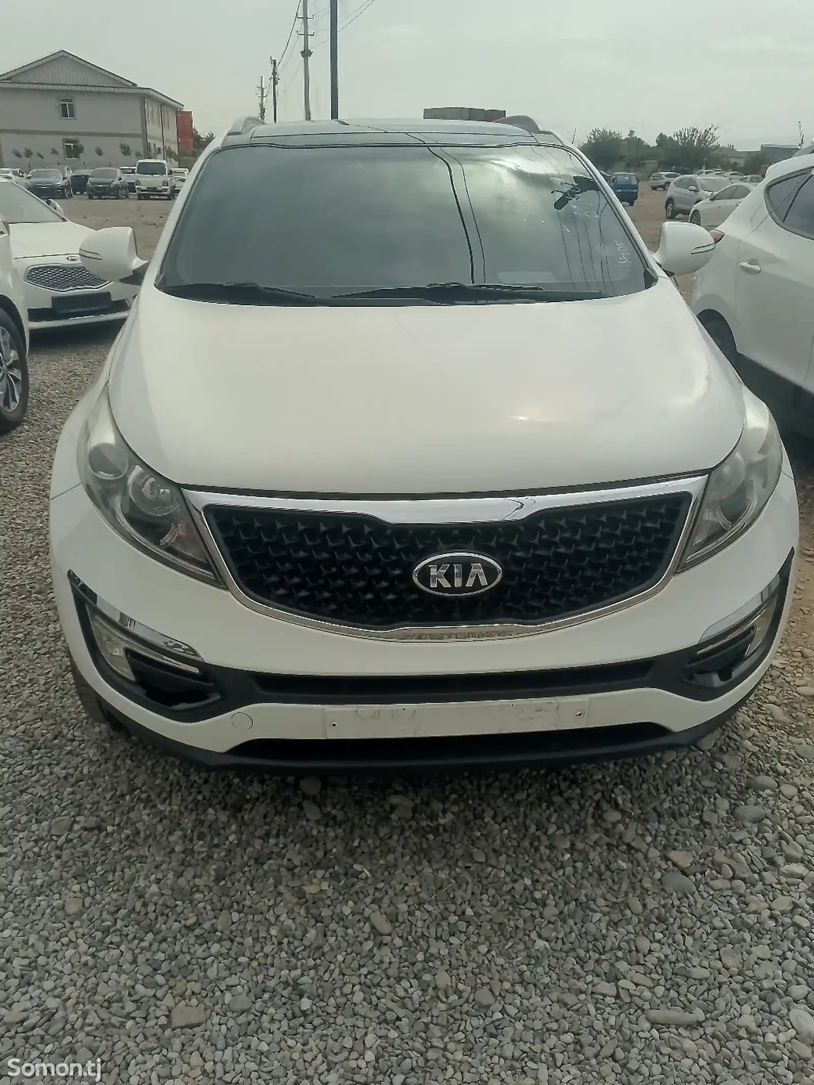 Kia Sportage, 2014-1