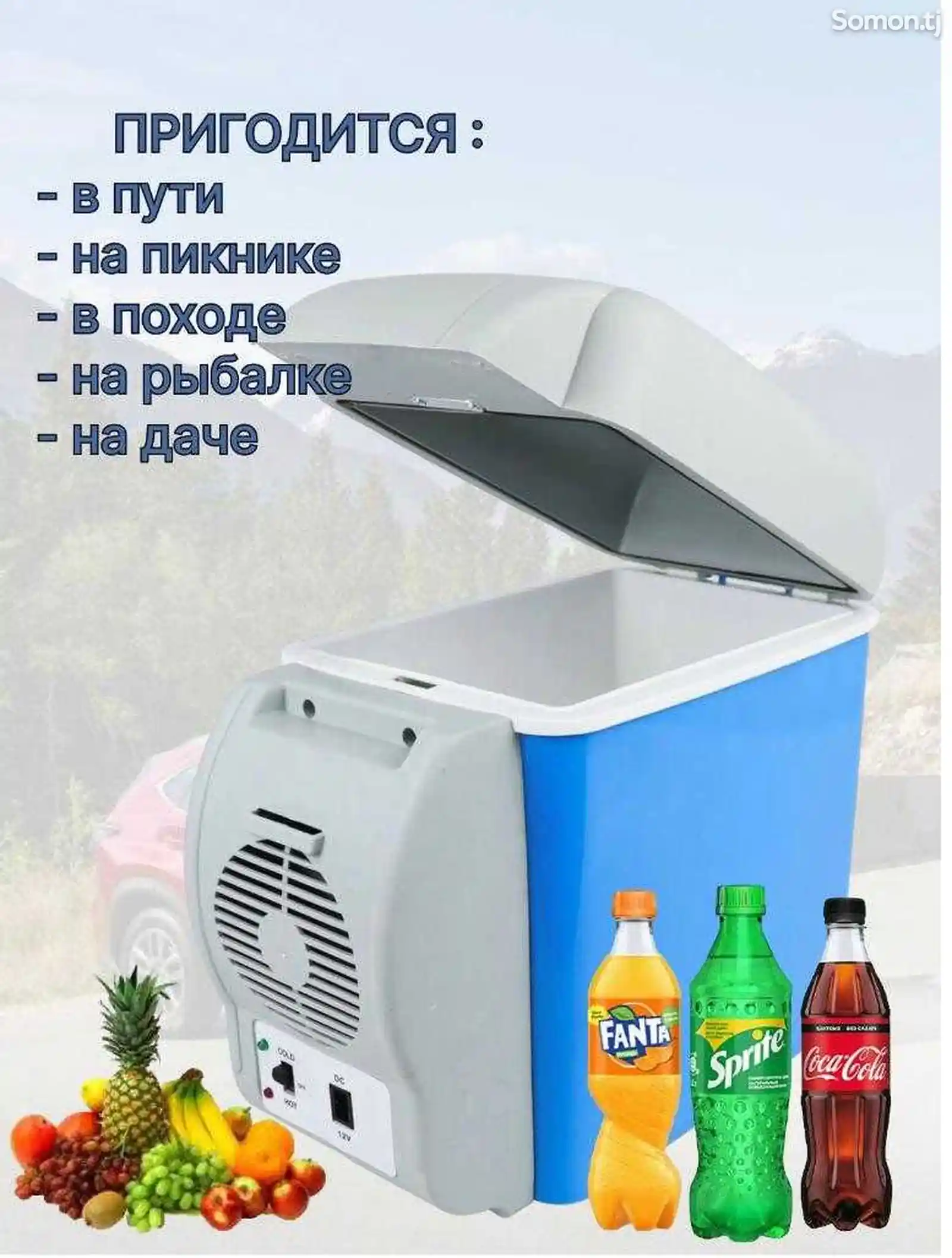 Холодильник для авто-4