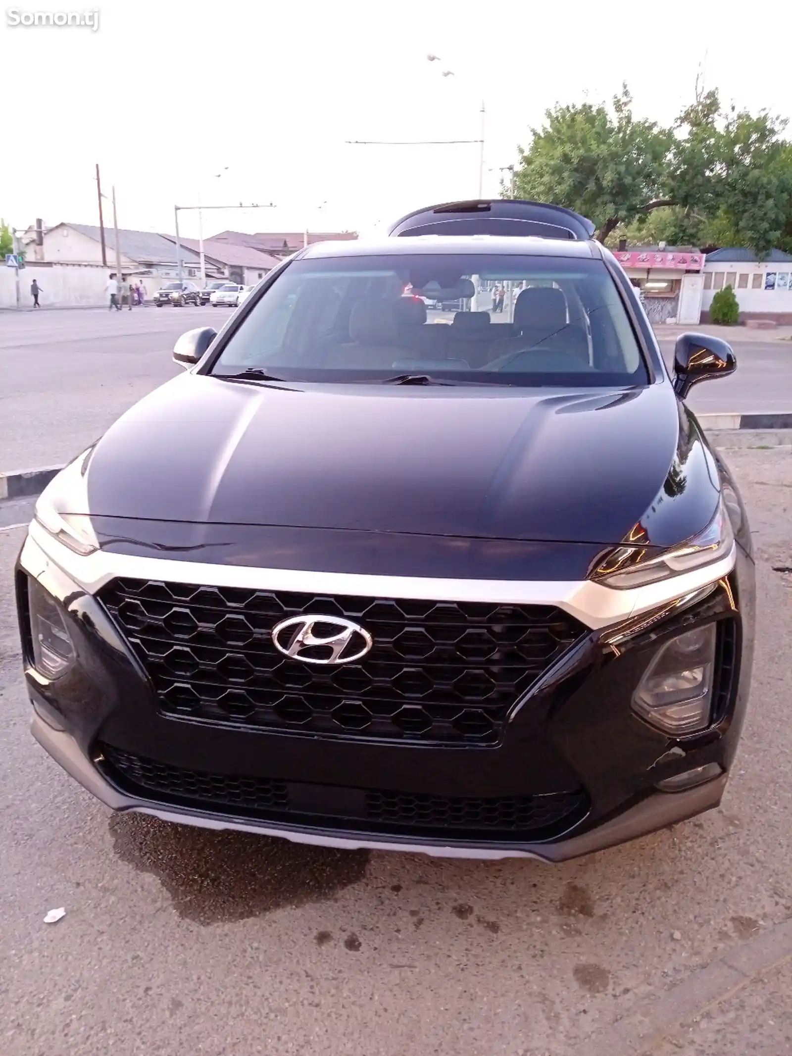 Hyundai Santa Fe, 2019-1